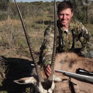 South Africa Gemsbok