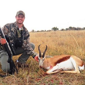 Freestate South Africa Springbok