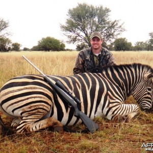 South Africa Zebra