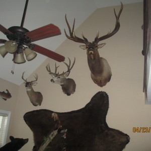 Trophy Room