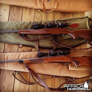 Rifles Ready for Africa