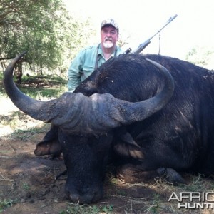 Big Buffalo