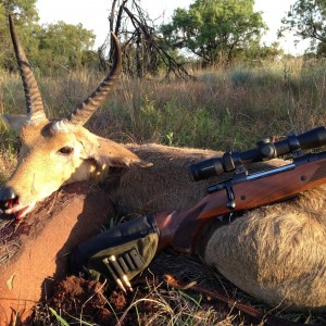 Reedbuck