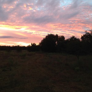 The end of another beautiful day in Africa