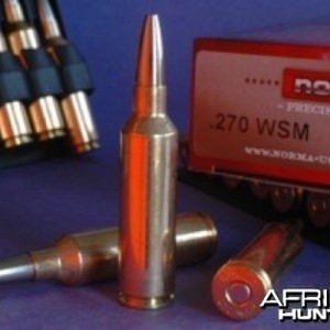 .270 WSM