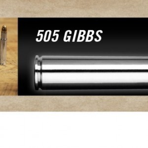 .505 Gibbs