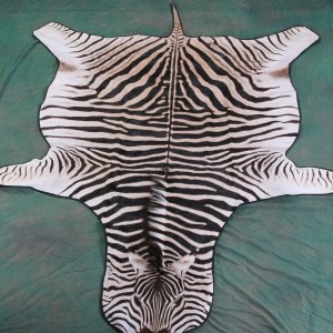 Zebra Rug