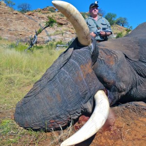 Elephant ~ Limpopo, South Africa