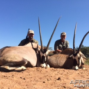 Gemsbok RSA Limpopo 2014