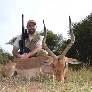 Impala RSA Limpopo 2014