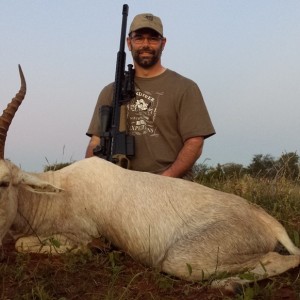 White Blesbok RSA Limpopo 2014