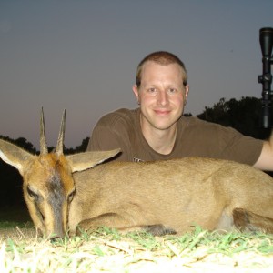 Duiker