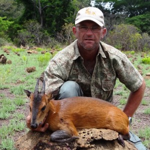 Red flanked duiker