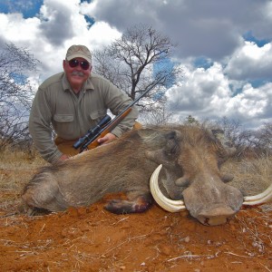 Warthog ~ Limpopo Valley, RSA