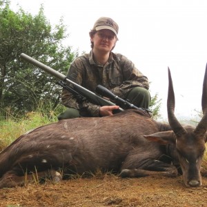 Very old Natal Bushbuck