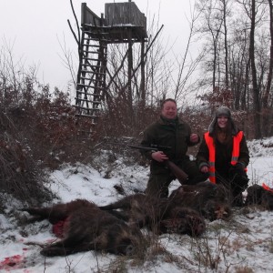 Hunting Boar in Hungary