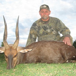 Bushbuck