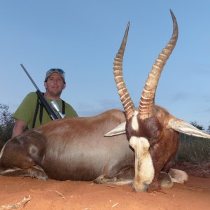 Blesbok