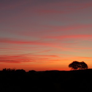 African Sunset