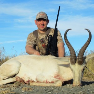 White springbok