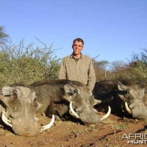 Three pigs in a afternoon hunt