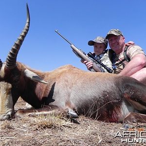 Blesbok