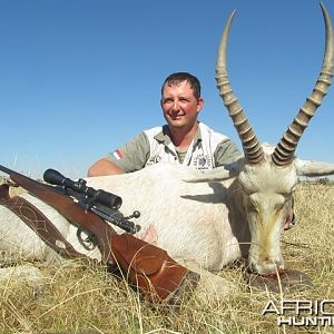 Blesbok