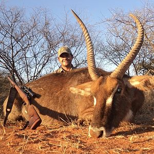 Waterbuck