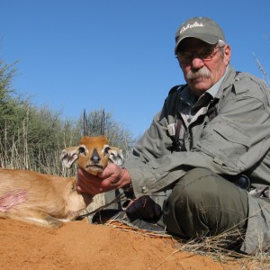 Steenbok