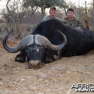 Buffalo Hunt