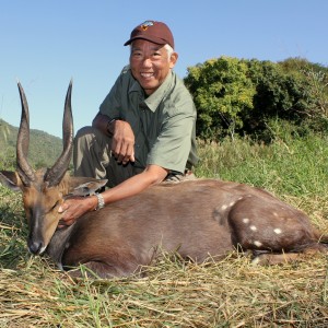 Cape bushbuck with Crusader Safaris