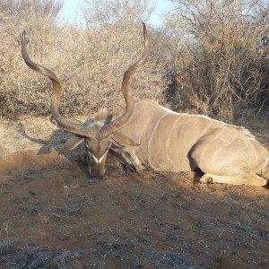 Kudu