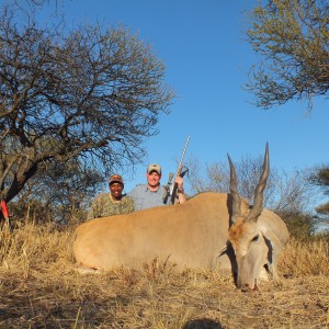 Cape Eland