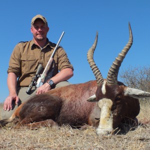 Blesbok