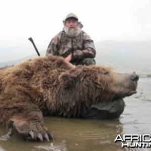 Brown Bear Hunt Alaska