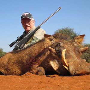 The biggest, meanest warthog of the two I took.