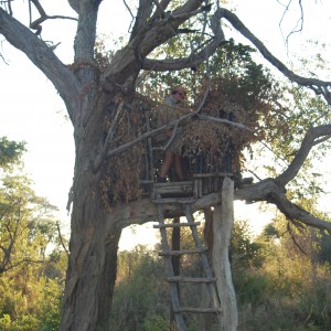 Hunting Blind