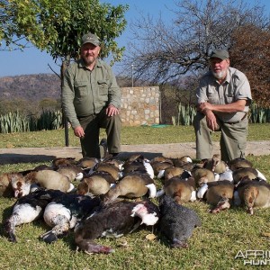 Zimbabwe - Waterfowl