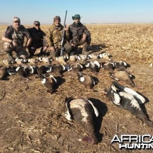 Umdende Hunting Safaris