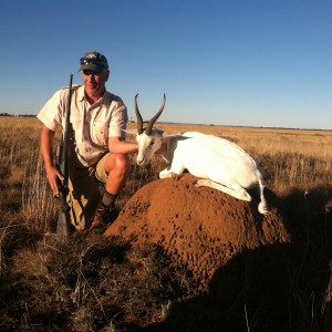 Free State White Blesbok, June 2014