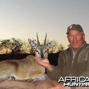 Klipspringer, June 2014