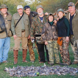 Afternoon of doves in Argentina