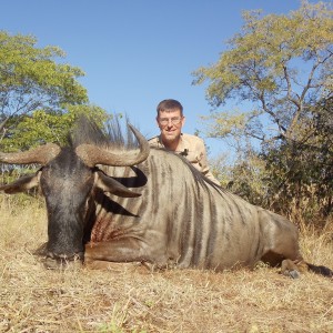 blue wildebeest zim