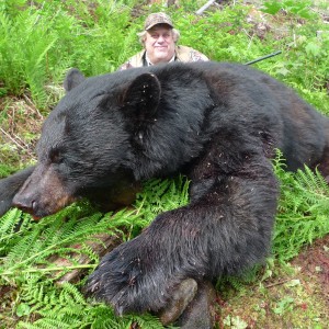 British Columbia Black Bear Hunt