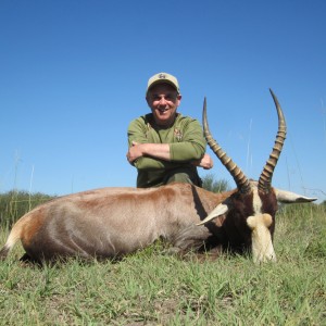 Blesbok RSA