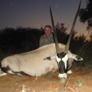 Gemsbok