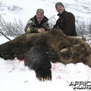 Brown Bear Hunt Alaska