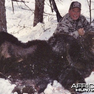 Brown Bear Hunt Alaska