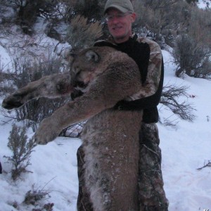 Utah Cougar Hunts