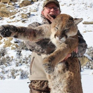 Utah Cougar Hunts